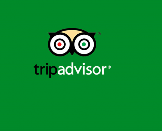 TripAdvisor Full API Integration